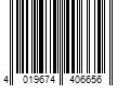 Barcode Image for UPC code 4019674406656