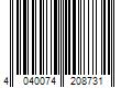 Barcode Image for UPC code 4040074208731