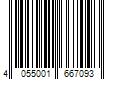 Barcode Image for UPC code 4055001667093