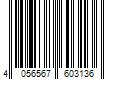 Barcode Image for UPC code 4056567603136