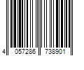 Barcode Image for UPC code 4057286738901