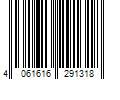 Barcode Image for UPC code 4061616291318