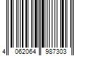 Barcode Image for UPC code 4062064987303