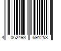 Barcode Image for UPC code 4062493691253