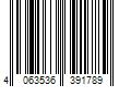 Barcode Image for UPC code 4063536391789