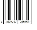 Barcode Image for UPC code 4063536731318