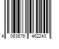 Barcode Image for UPC code 4063676462240