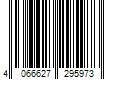 Barcode Image for UPC code 4066627295973