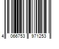 Barcode Image for UPC code 4066753971253