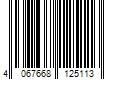 Barcode Image for UPC code 4067668125113