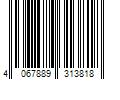 Barcode Image for UPC code 4067889313818