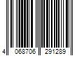 Barcode Image for UPC code 4068706291289