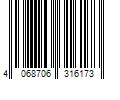 Barcode Image for UPC code 4068706316173