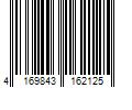 Barcode Image for UPC code 4169843162125