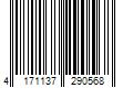 Barcode Image for UPC code 4171137290568