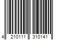 Barcode Image for UPC code 4210111310141