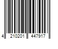 Barcode Image for UPC code 4210201447917