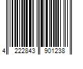 Barcode Image for UPC code 4222843901238