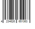 Barcode Image for UPC code 4234626651063