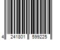 Barcode Image for UPC code 4241801599225