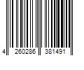 Barcode Image for UPC code 4260286381491