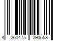 Barcode Image for UPC code 4260475290658