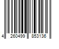 Barcode Image for UPC code 4260499853136