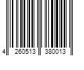 Barcode Image for UPC code 4260513380013