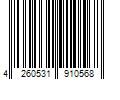 Barcode Image for UPC code 4260531910568