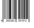 Barcode Image for UPC code 4262380391512