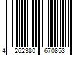 Barcode Image for UPC code 4262380670853