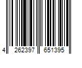 Barcode Image for UPC code 4262397651395