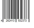 Barcode Image for UPC code 4262410532373