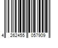 Barcode Image for UPC code 4262455057909