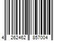 Barcode Image for UPC code 4262462857004