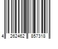 Barcode Image for UPC code 4262462857318