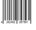 Barcode Image for UPC code 4262462857561