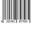 Barcode Image for UPC code 4262462857585