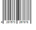 Barcode Image for UPC code 4281573267878