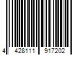 Barcode Image for UPC code 4428111917202