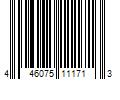 Barcode Image for UPC code 446075111713