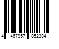 Barcode Image for UPC code 4467957852384