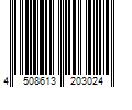 Barcode Image for UPC code 4508613203024