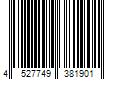 Barcode Image for UPC code 4527749381901