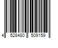 Barcode Image for UPC code 4528480509159