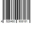 Barcode Image for UPC code 4528480908181