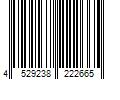 Barcode Image for UPC code 4529238222665