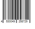 Barcode Image for UPC code 4530049258729