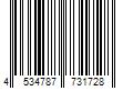 Barcode Image for UPC code 4534787731728