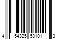 Barcode Image for UPC code 454325531013